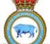 RAF Marham Badge